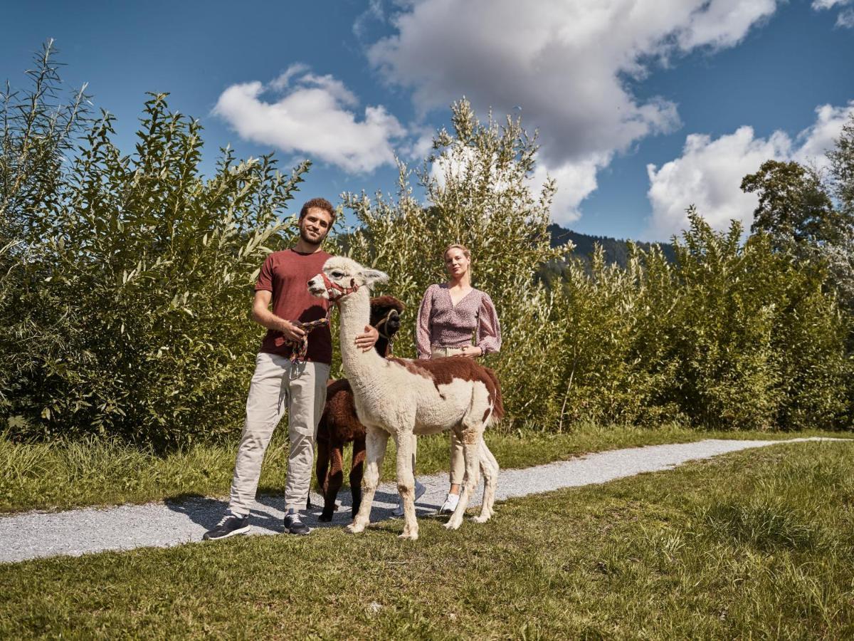 Aja Bergresort Werfenweng Dış mekan fotoğraf